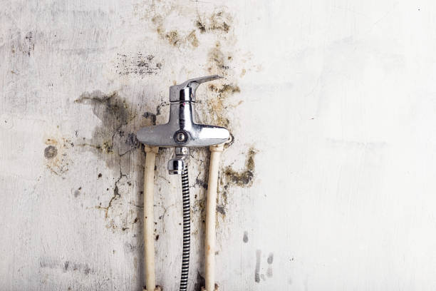 Best Mold Testing  in Mansfield, OH