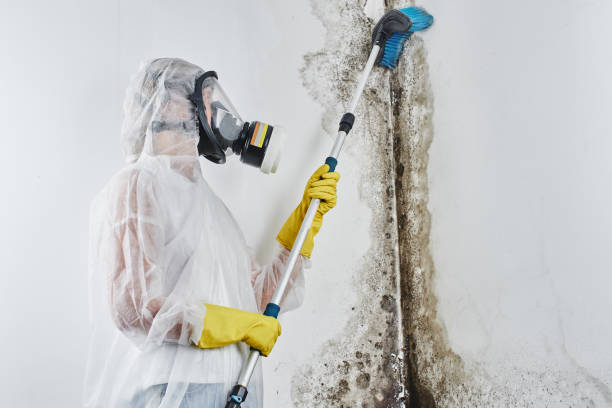 Best Mold Testing  in Mansfield, OH