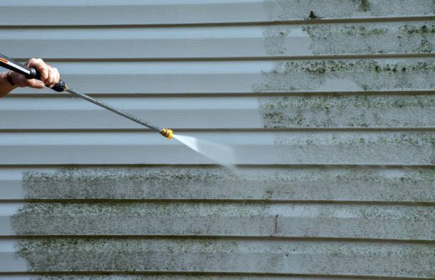 Crawl Space Mold Removal in Mansfield, OH