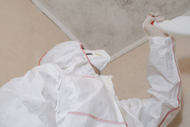 Best Professional Mold Removal  in Mansfield, OH