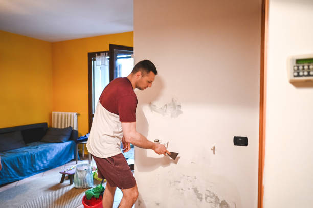 Best Certified Mold Removal  in Mansfield, OH