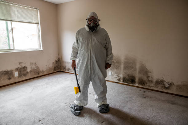 Best Mold Removal Specialists  in Mansfield, OH